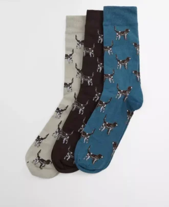 Pointer Köpek Çorapları Hediye Kutusu