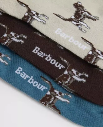 Pointer Köpek Çorapları Hediye Kutusu